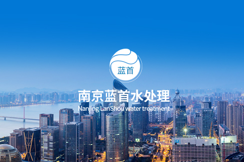 托克托建站-南京蓝首水处理设备有限公司